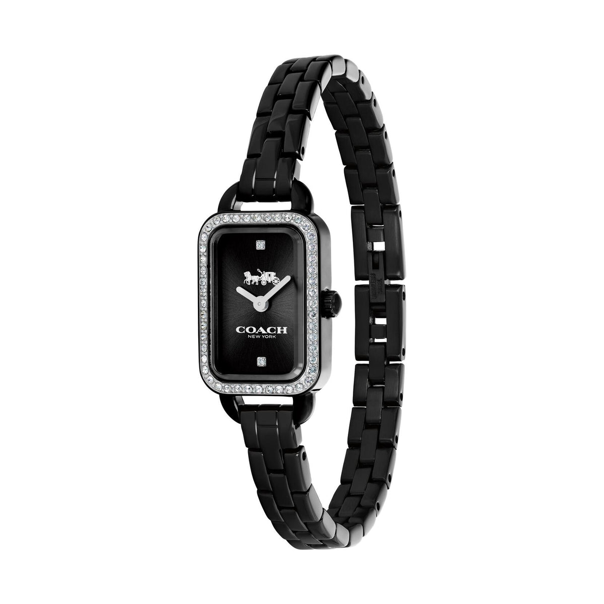 Coach Ludlow Women's Watch, 17mm (black)